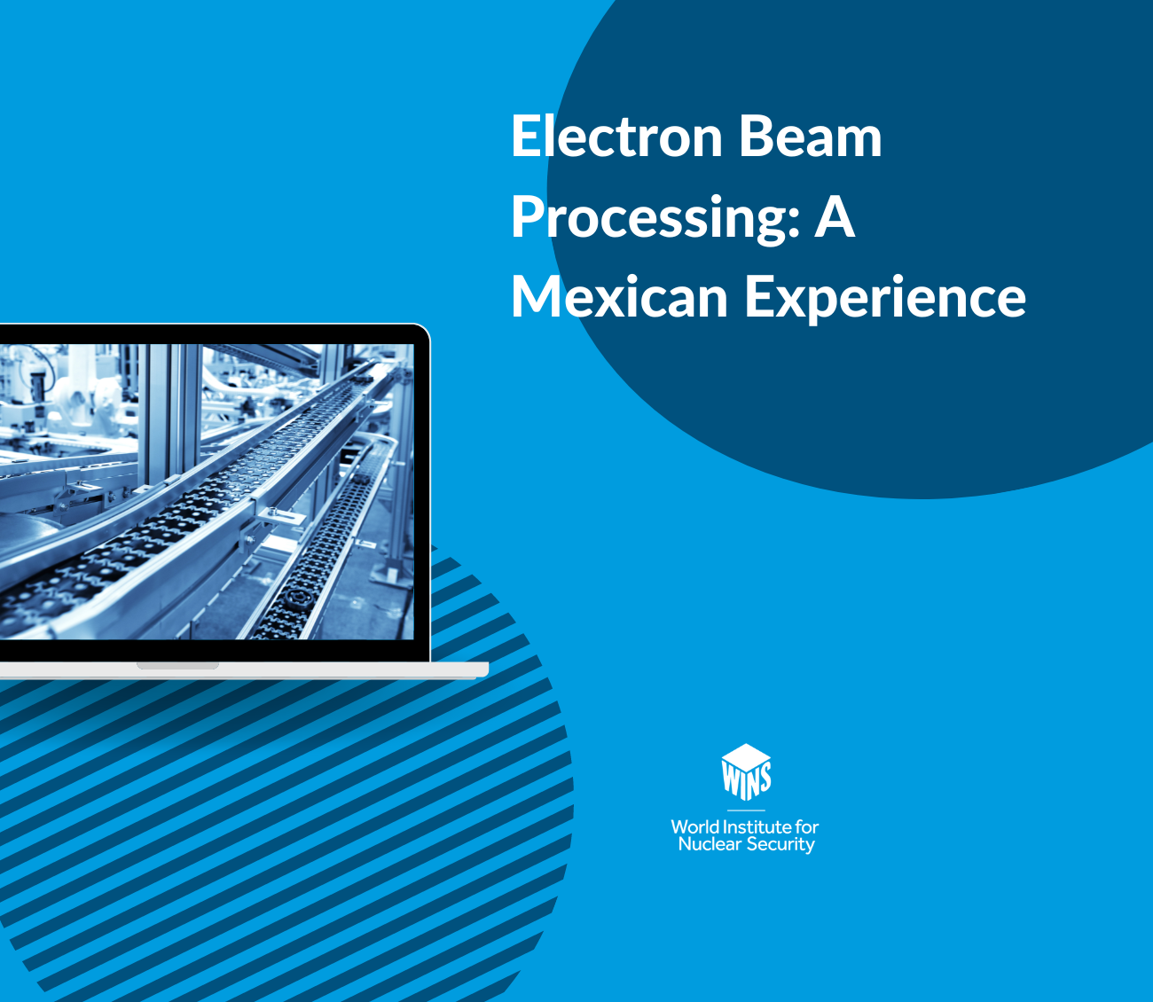 Electron Beam Processing: A Mexican Experience